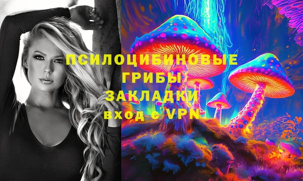 винт Алексин